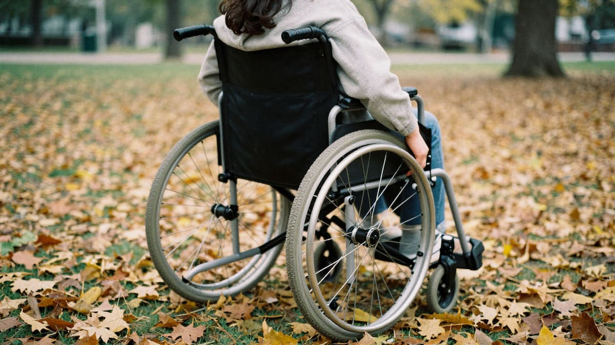 Discapacidad, silla de ruedas, CUD.