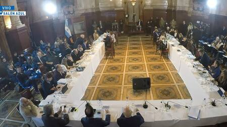 Plenario de comisiones del Senado de la Nación. Foto captura.