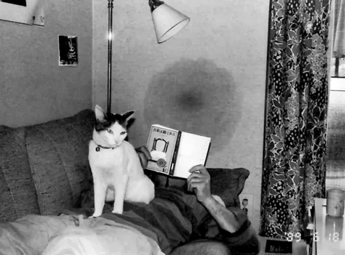 El fotógrafo japonés Nobuyoshi Araki retrató durante 22 años a Chiro, la gata que llegó a su hogar por iniciativa de su esposa Yoko. Tras perder a ambas, encontró en las fotografías una manera de conservar sus recuerdos.