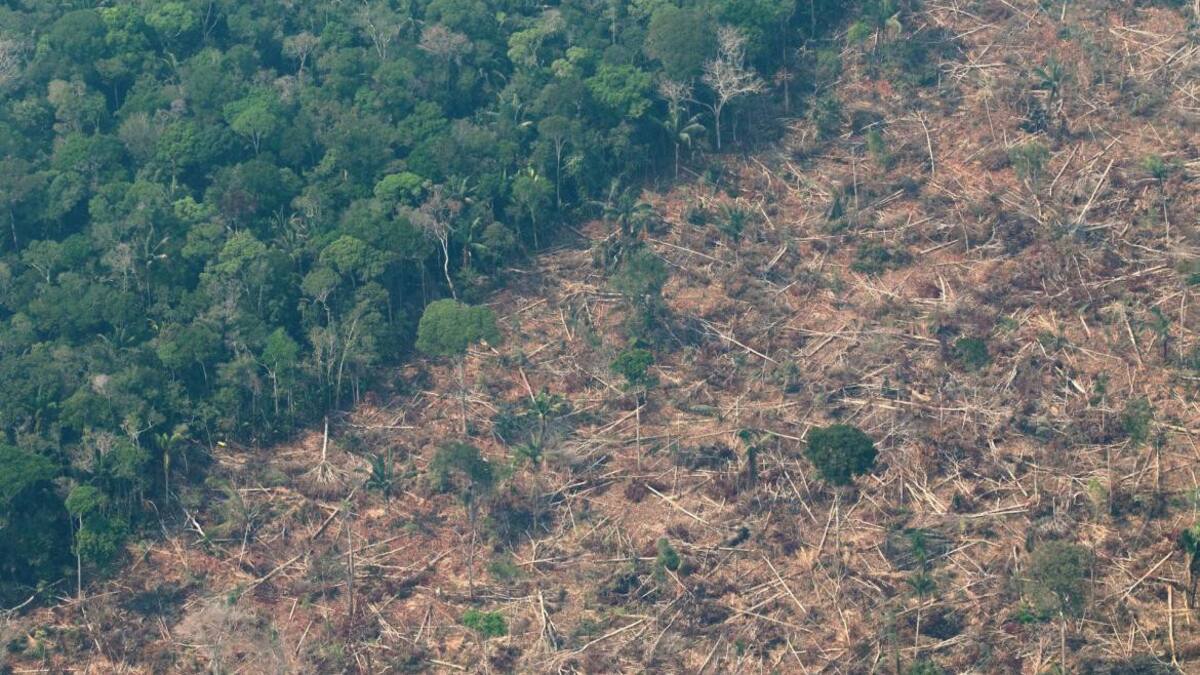 Deforestación en el Amazonia. Foto: EFE