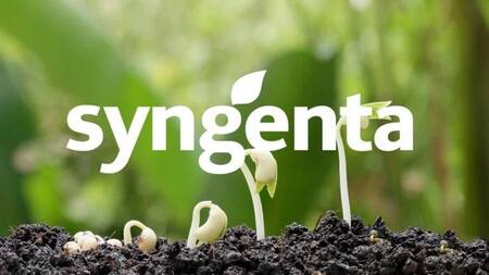 Syngenta