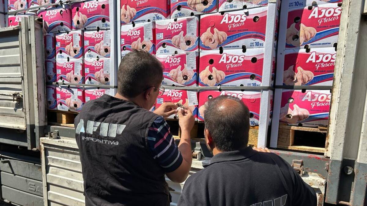 Aduana evitó el contrabando de 121 toneladas de ajo. Foto: Aduana.