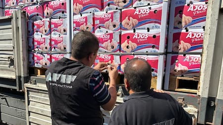 Aduana evitó el contrabando de 121 toneladas de ajo. Foto: Aduana.