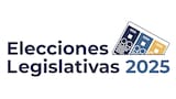Dónde ver los resultados de las elecciones 2025: cómo descargar la aplicación para seguir el recuento en tiempo real
