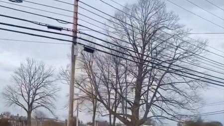 Tiroteo en un hospital de Nuevo Hampshire en Estados Unidos. Foto: REUTERS.