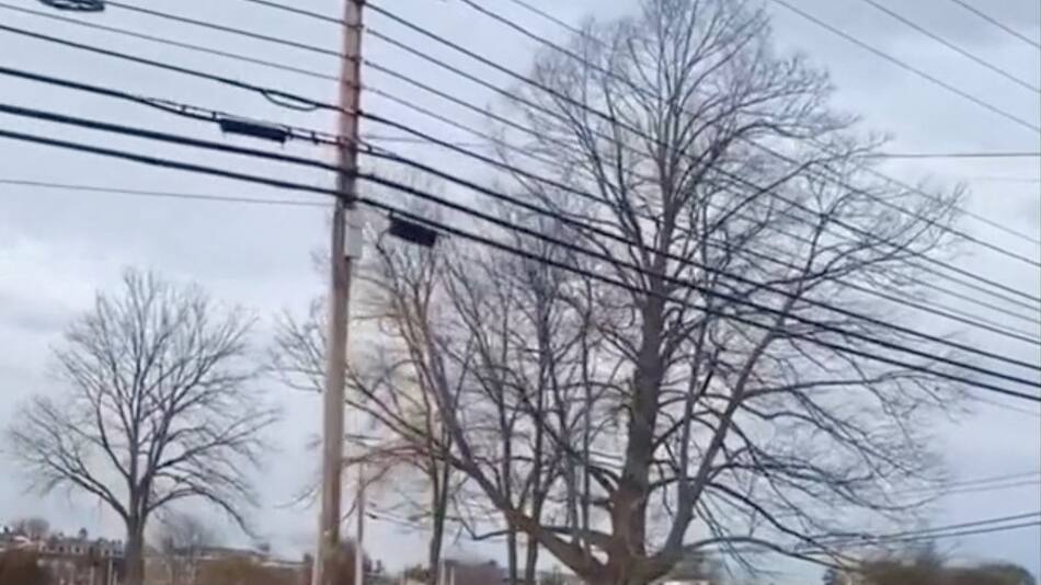 Tiroteo en un hospital de Nuevo Hampshire en Estados Unidos. Foto: REUTERS.