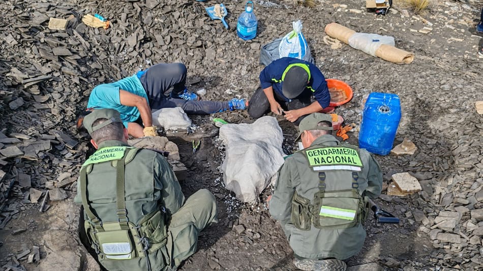 Tareas de excavación donde encontraron restos fósiles de un ictiosaurio en Neuquén. Foto: argentina.gob.ar