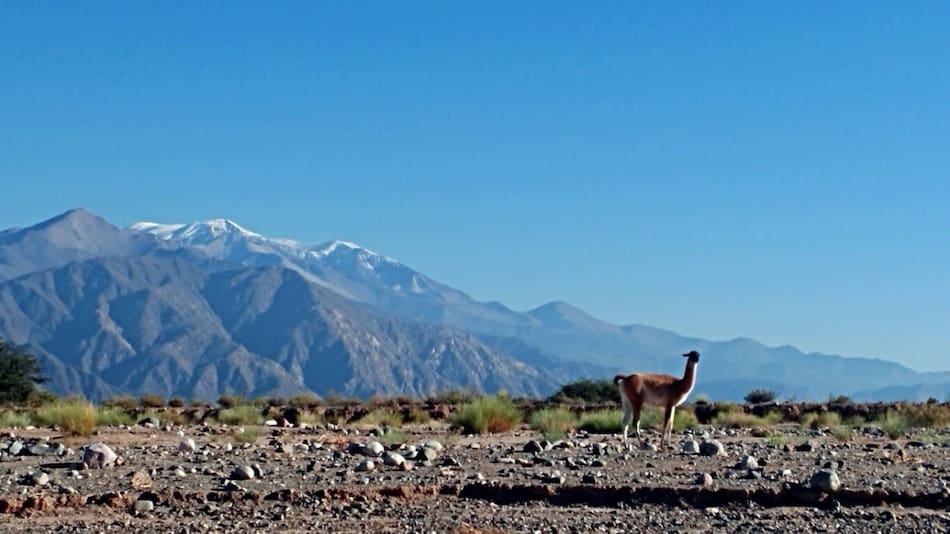 Seclantás, pueblo. Foto: seclantas.gob.ar