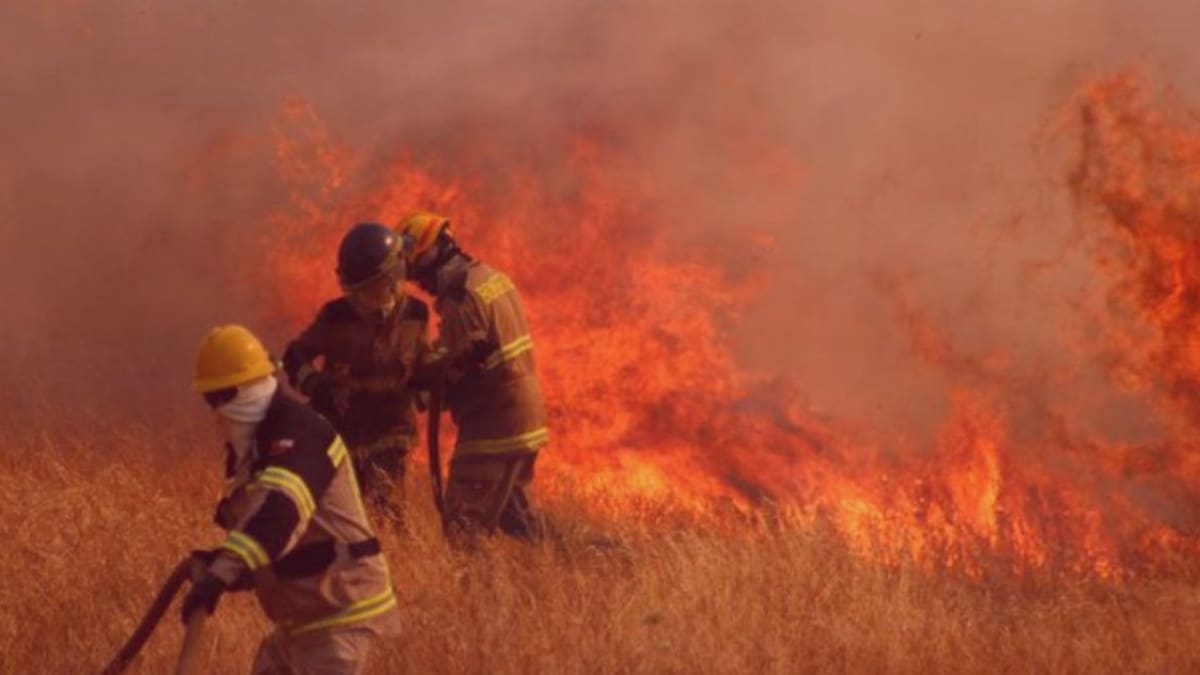 Las impactantes imágenes de los incendios forestales en Chile: el fuego devoró más de 3mil hectáreas de vegetación