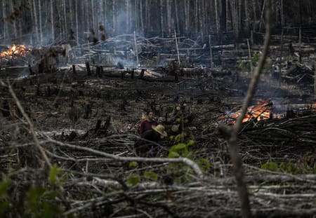 Deforestación en la Amazonía. Foto: EFE