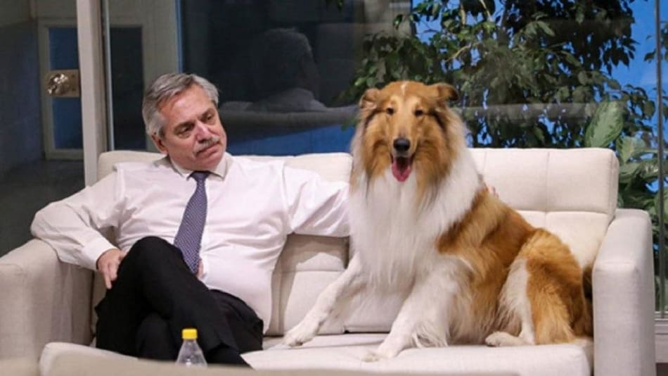Alberto Fernández y su perro Dylan