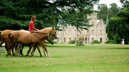 Escapadas de Semana Santa, Laguna de Lobos
