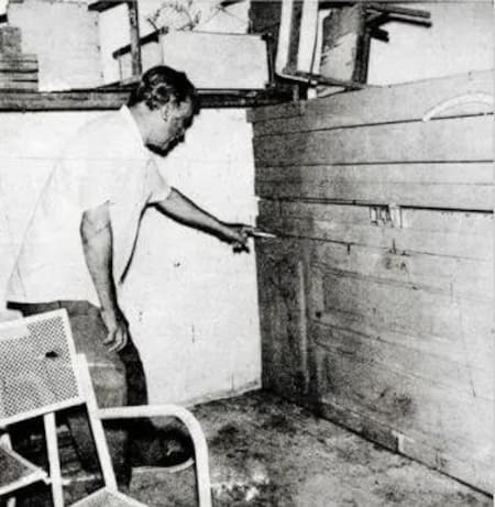 Francisco Laureana fue acribillado en este gallinero