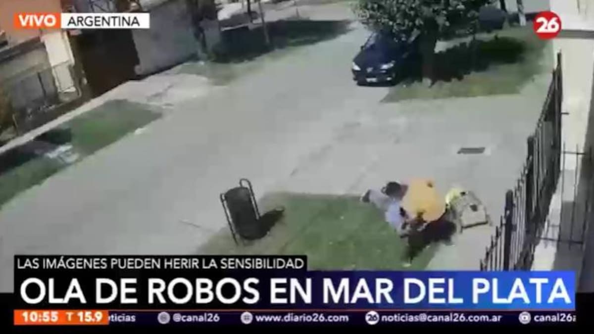 Vecinos de Mar del Plata en alerta por la ola de inseguridad