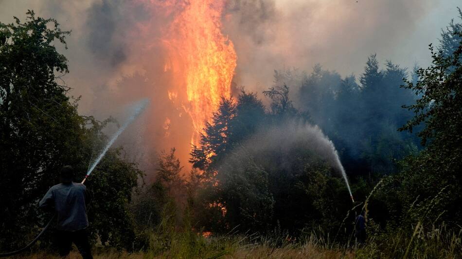 Incendios forestales en El Bolsón, Río Negro. Foto: REUTERS/Marcelo Martinez