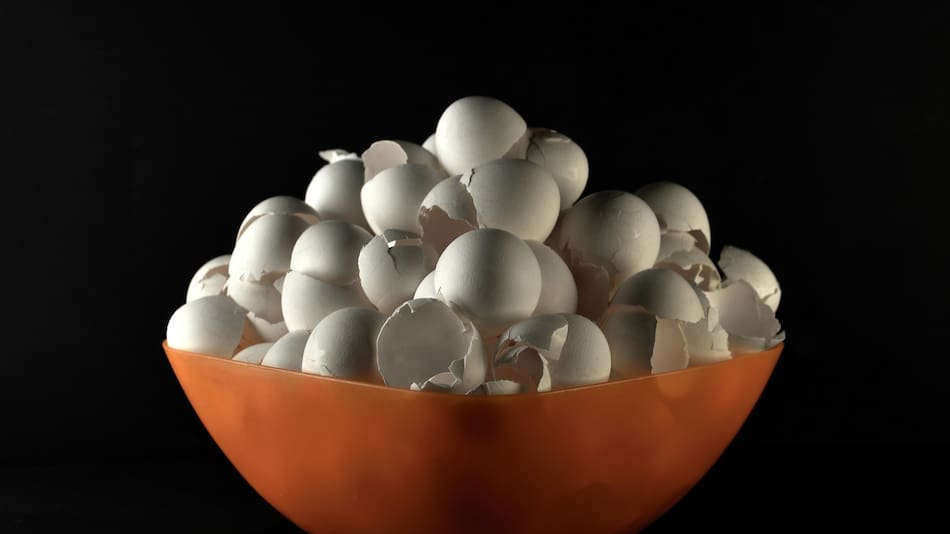 Cáscara de huevo. Foto Unsplash.