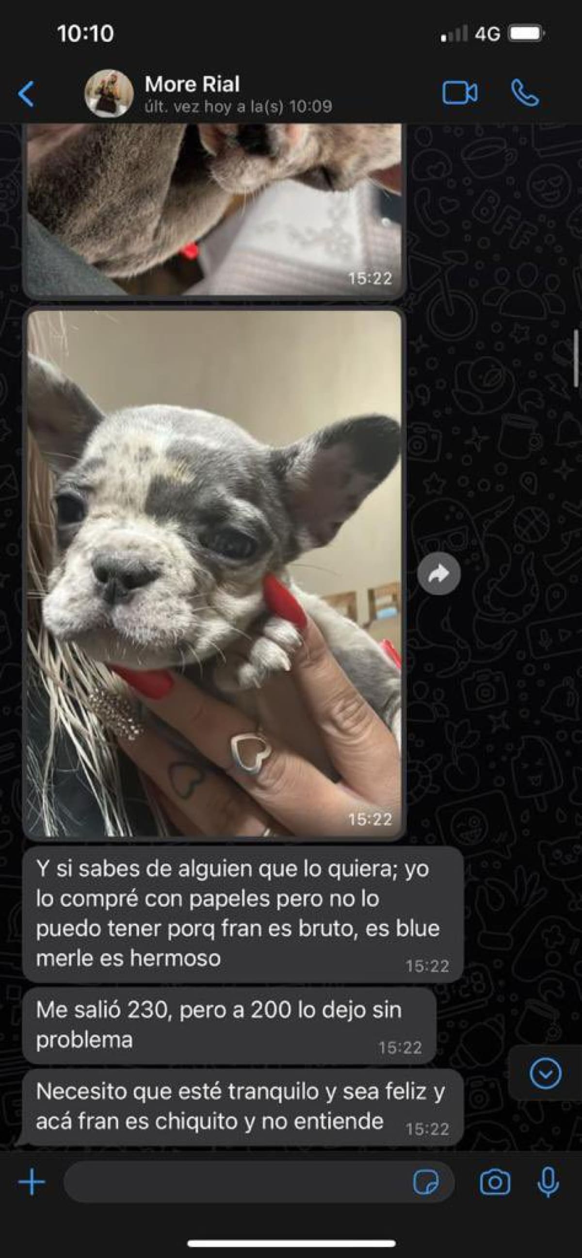 Morena Rial vende a su perro. Foto: Twitter.