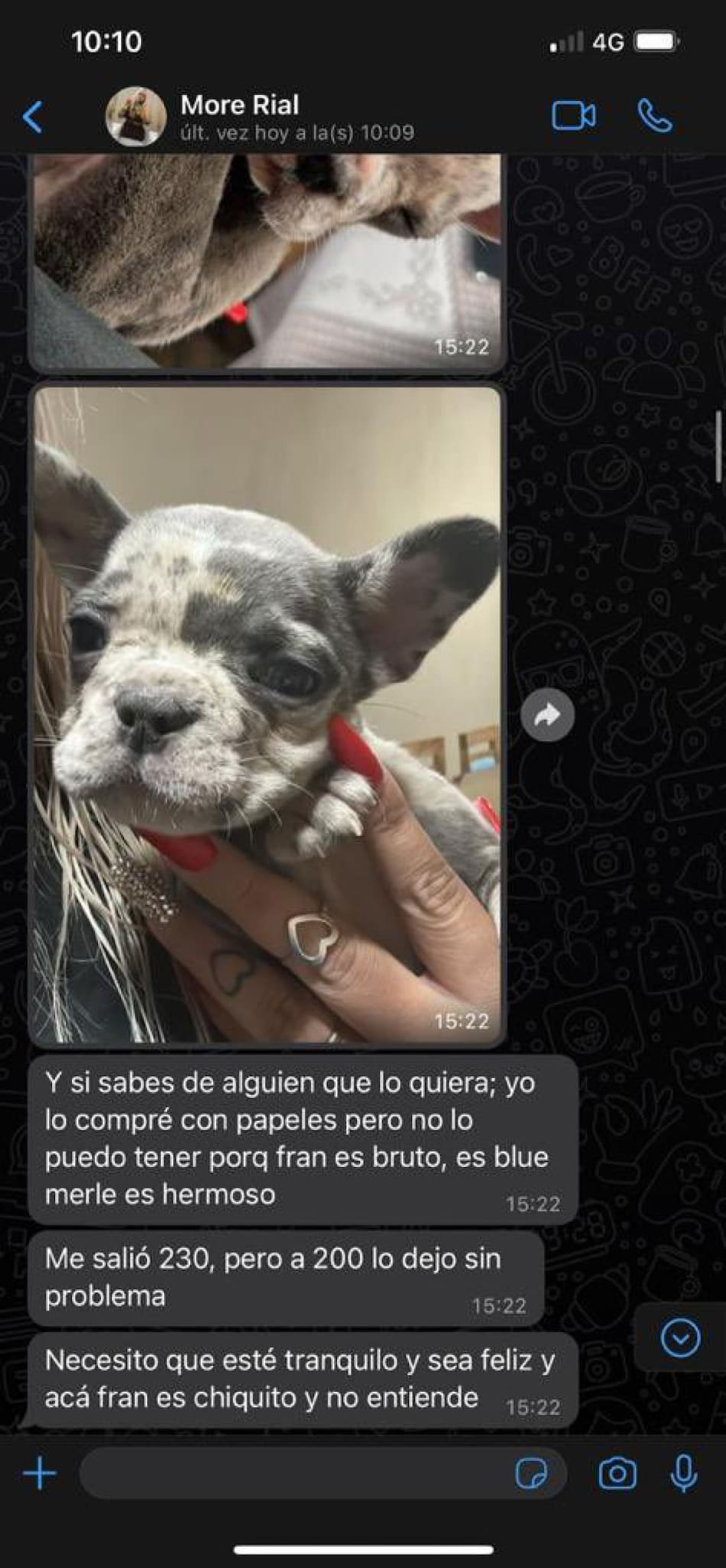 Morena Rial vende a su perro. Foto: Twitter.