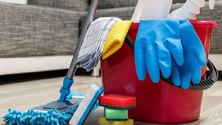 Servicio doméstico, personal doméstico