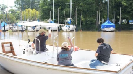 ARBA y AFIP intimaron a los dueños de 37 embarcaciones.