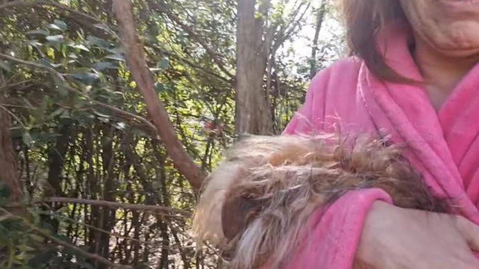 Mataron a su perra. Foto: captura de video.