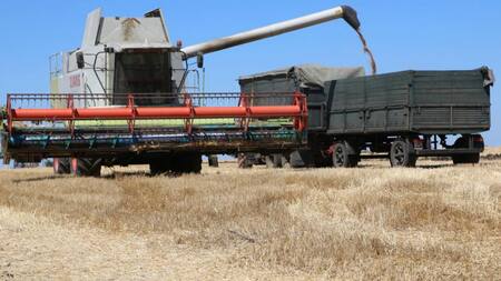 Maquinaria agrícola cosecha trigo. Foto: NA.