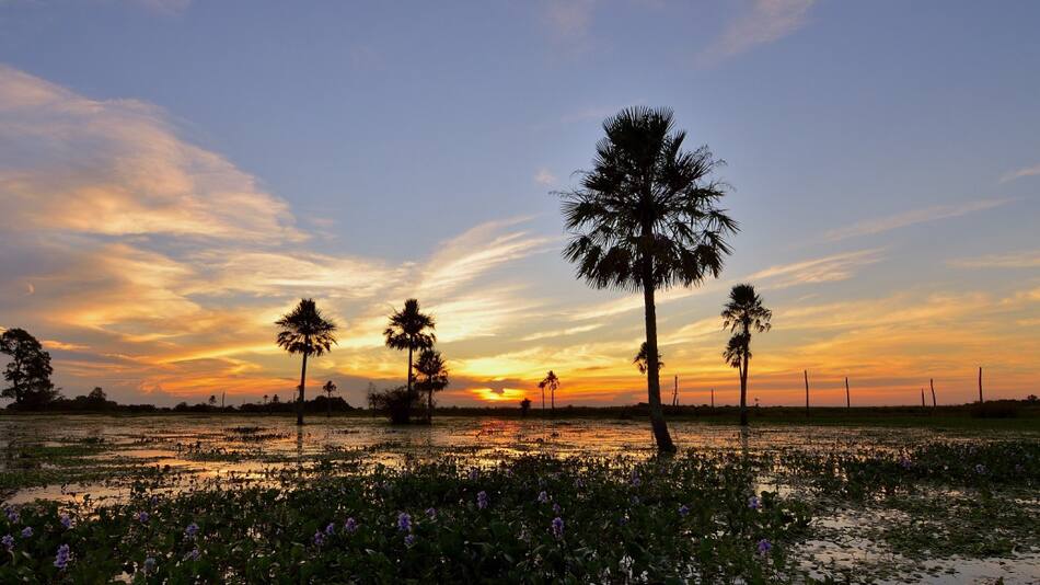 Corrientes. Fuente: Turismo Corrientes.