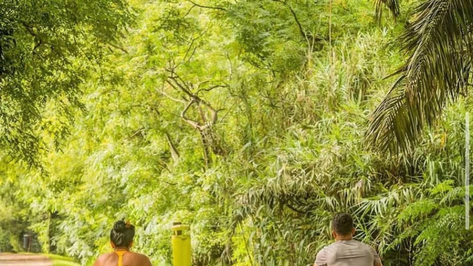 Los mejores circuitos para conocer CABA en bicicleta. Foto Instagram @reservaecologicasur