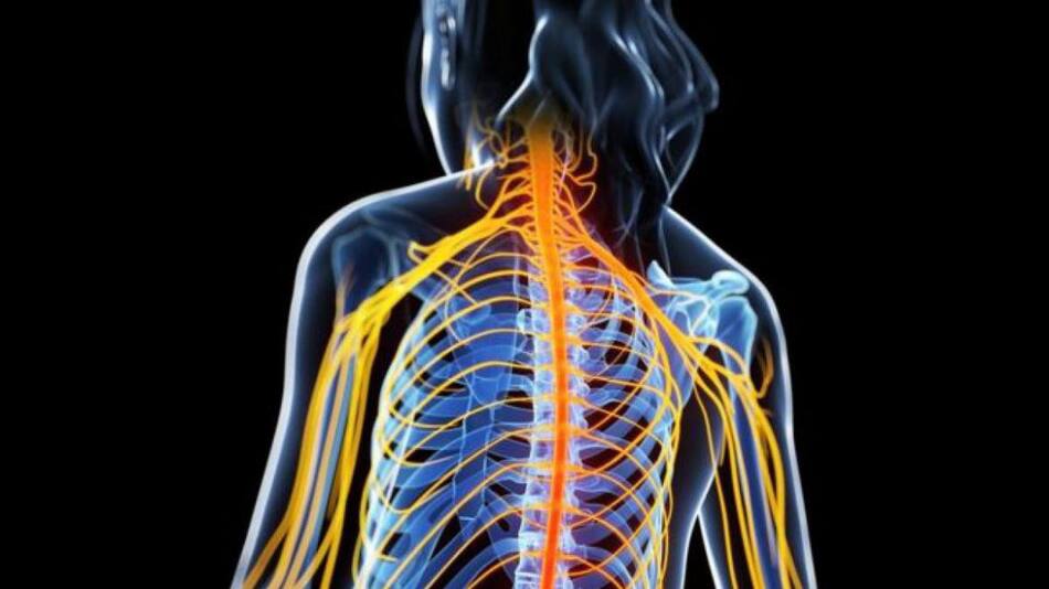 NUEVO TRATAMIENTO CONTRA LA ESCLEROSIS MÚLTIPLE