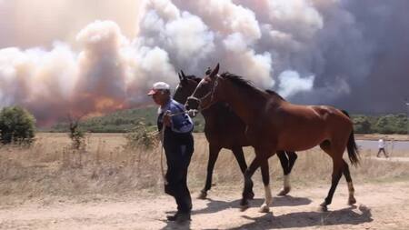 Incendios en Grecia. Foto: Reuters.