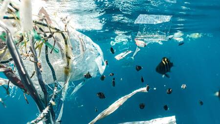 Se necesitan tan solo 5 minutos para producir una bolsa de plástico, y tardan cientos de años en degradarse. Foto: Unsplash.