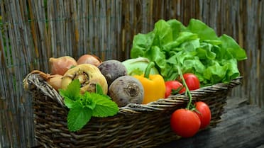Pesticidas en frutas y verduras “orgánicas”: cómo eliminar correctamente los residuos químicos al lavarlas