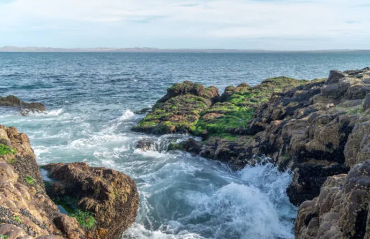 Ruta del Mar Patagónico. Fuente: National Geographic.