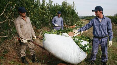 Tabacalera - Tucumán