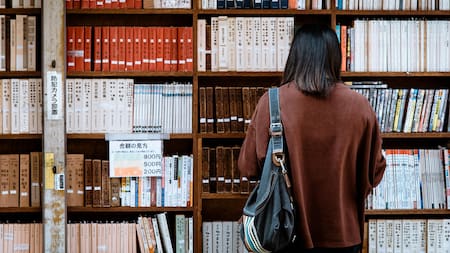 Estudiantes, becas, escuela, universidad. Foto: Pexels.