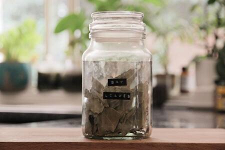 Hojas de laurel. Foto: Unplash.