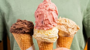 Noche de las Heladerías 2025: desde qué hora se podrá aprovechar el 2x1 y cómo saber qué locales participan