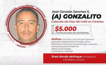 José Gonzalo Sánchez Sánchez, alias Gonzalito. Foto: Ministerio de Defensa