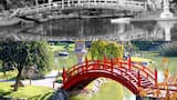 De ofrenda imperial a ícono porteño: la historia detrás del Jardín Japonés de Palermo, un puente entre dos culturas