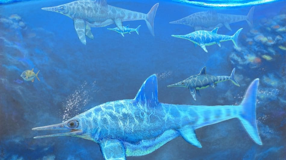 Los científicos y paleontólogos encontraron en el lugar el fósil de un ictiosaurio en perfecto estado de conservación
