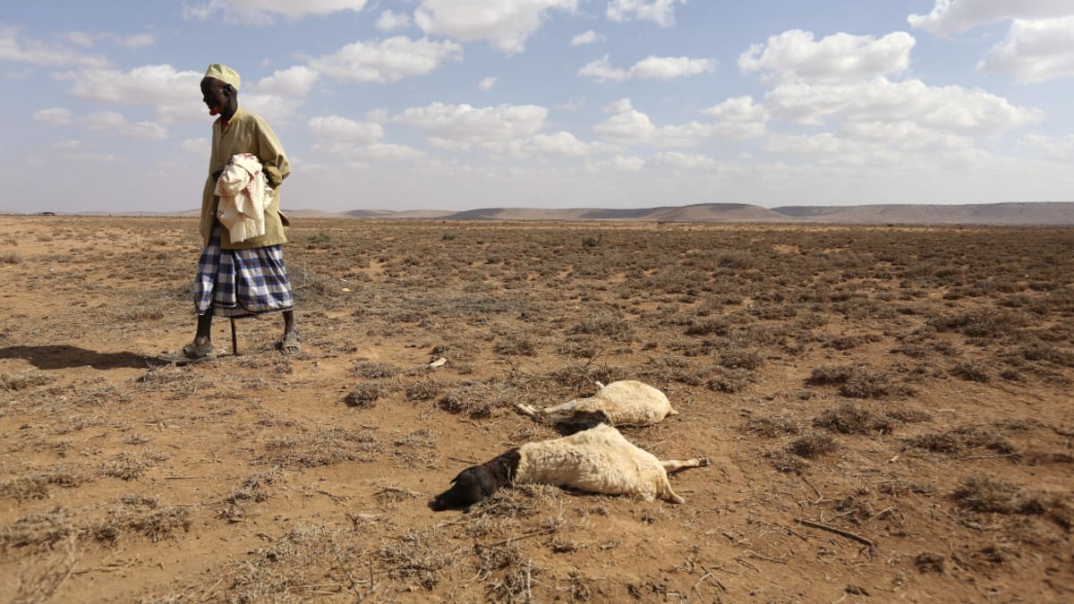 El Niño continuará durante el invierno boreal, según meteorólogos estadounidenses. Foto Reuters.