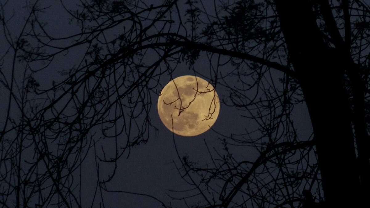 Luna. Foto: Unsplash