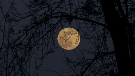 Luna. Foto: Unsplash