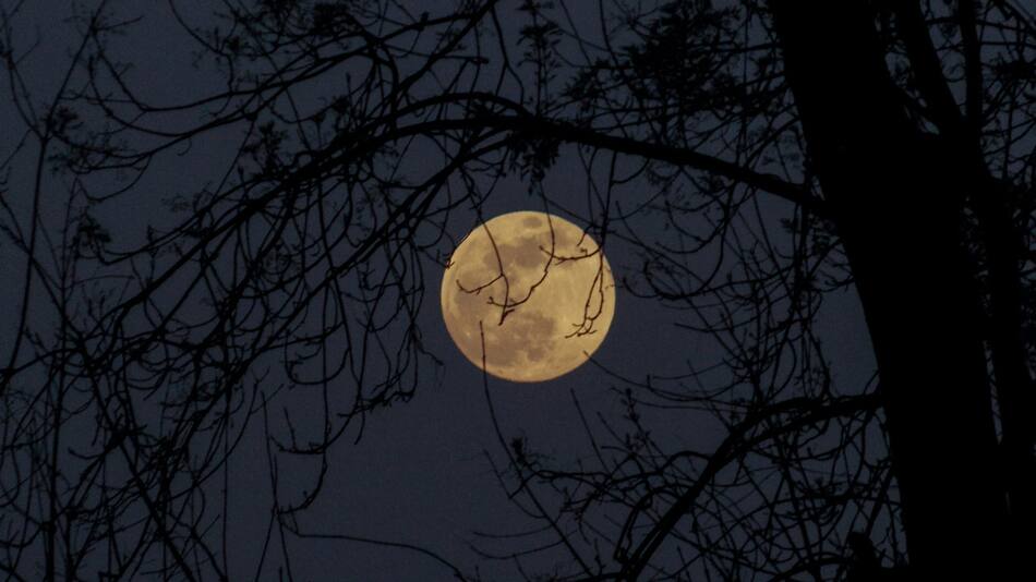 Luna. Foto: Unsplash