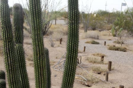 Reserva de la Biosfera El Pinacate y el Gran Desierto de Altar. Foto: EFE