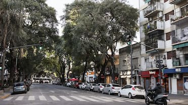 La avenida de la “Ruta de las Harinas”: atraviesa cinco barrios de CABA y tiene una panadería por cuadra