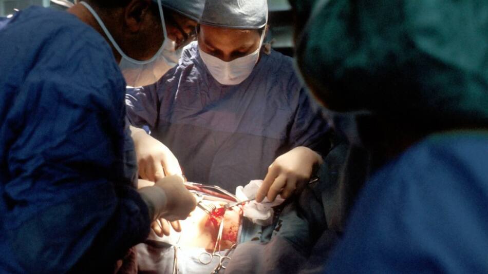 Cáncer de vejiga. Foto: Unsplash