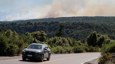 Los Alerces. Foto: Reuters.