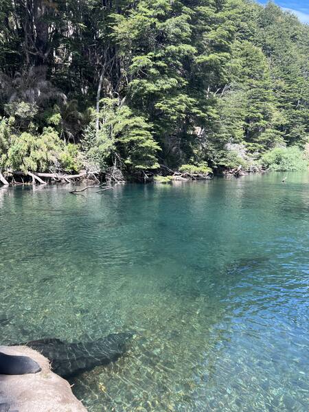 Lago paradisíaco en La Patagonia. Foto Laura Ruberto.
