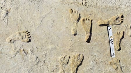 Los humanos llegaron a América hace más de 20.000 años atrás. Foto: Servicio Geológico de Estados Unidos.